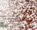 220-Fertilizer+Compatibility+-+Avoiding+Nutrient+Loss+and+Field+Mistakes-640w