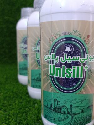 یونی سیلیس پلاس